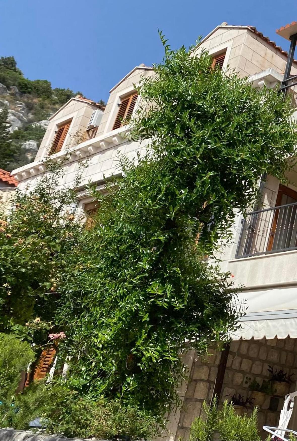 Apartment Seas - Wild Orange Dubrovnik *